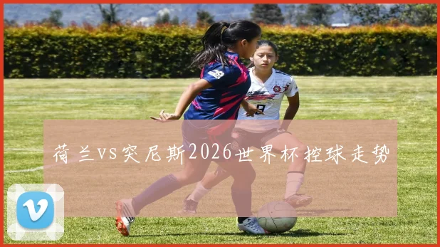 荷兰vs突尼斯2026世界杯控球走势