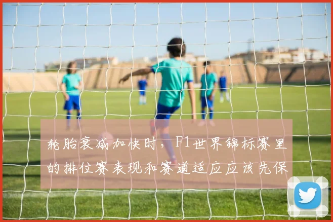 轮胎衰减加快时，F1世界锦标赛里的排位赛表现和赛道适应应该先保哪一个